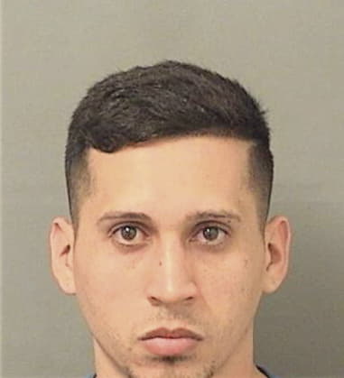 Luis Barreraasencio, - Palm Beach County, FL 